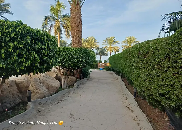 Resort Palma And With Private